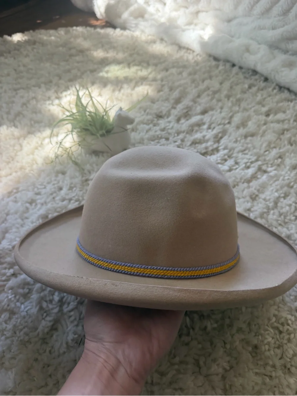 Neutral Buffalo days Regina Tan Felt Ranch Hat with Decorative Cord 7 3/4